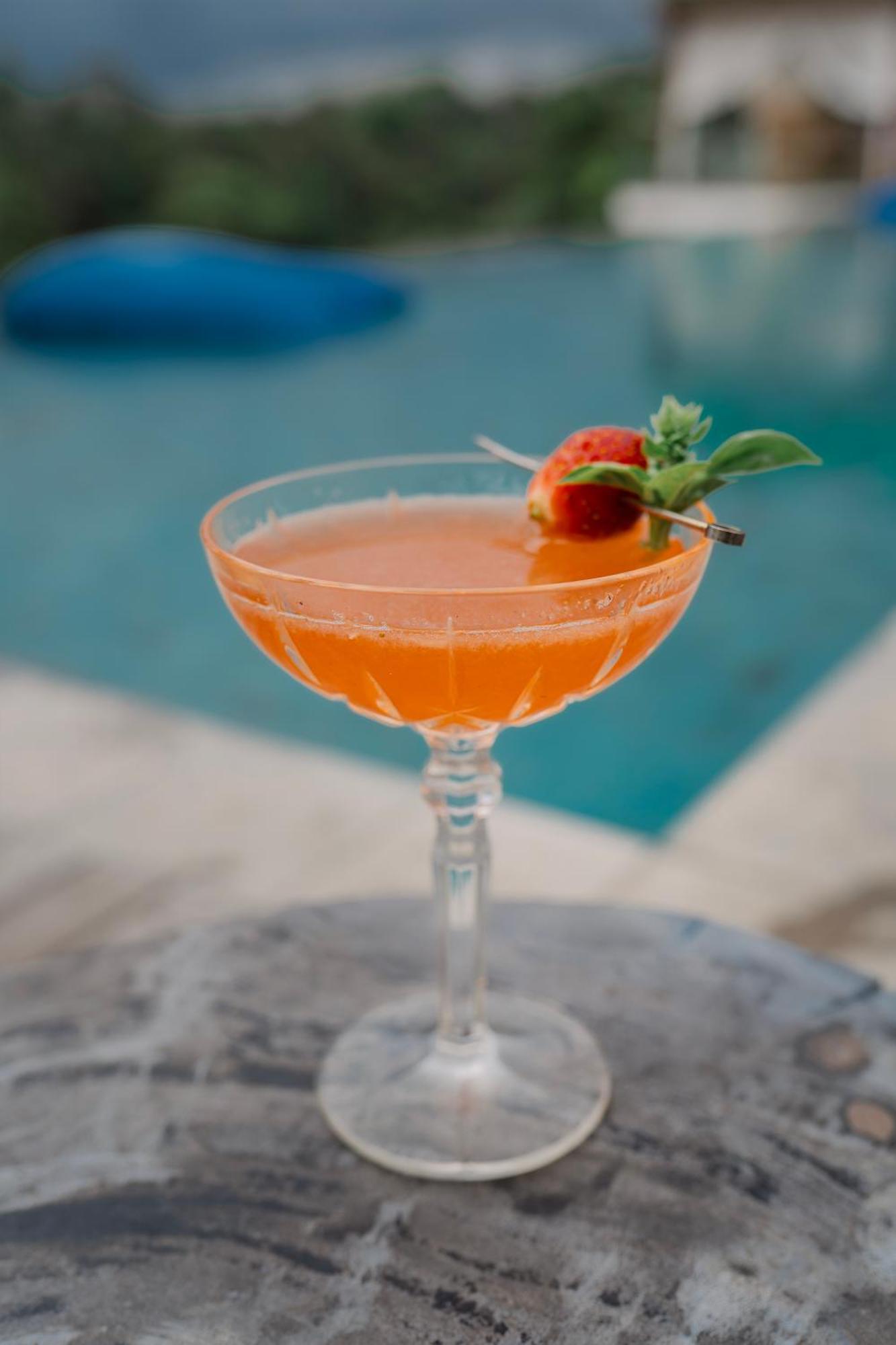 Goya Boutique Resort Убуд Экстерьер фото A Clover Club cocktail